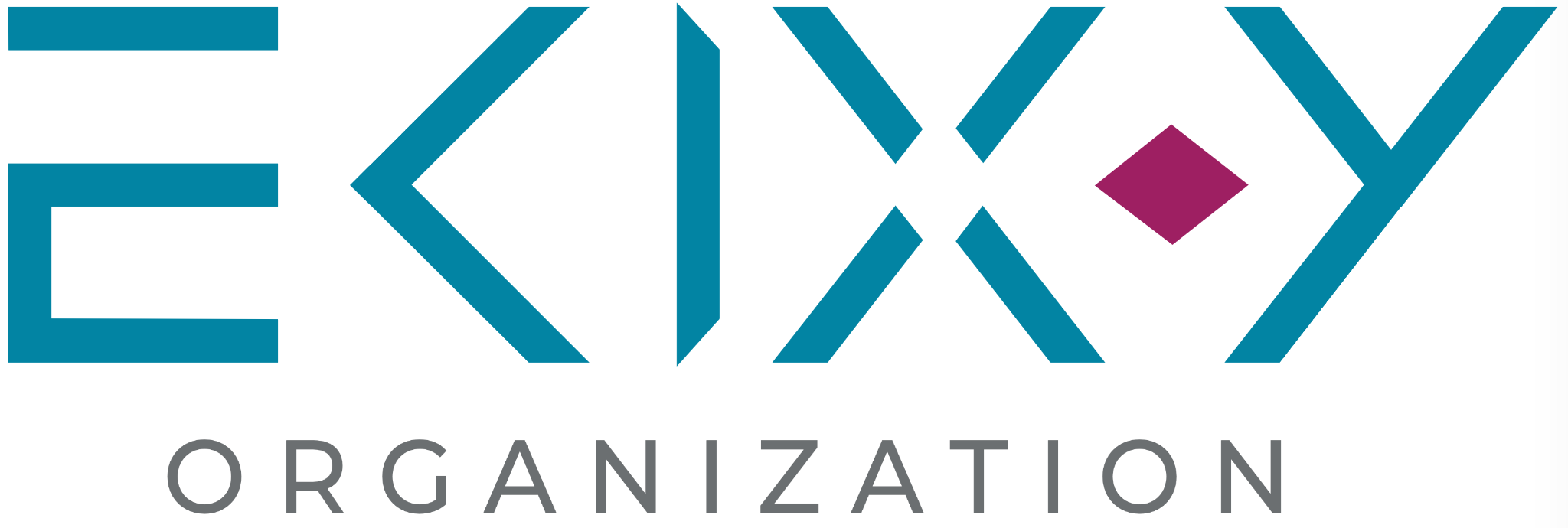 EKIX-Y Organization